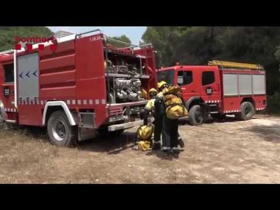 INCENDI PALLERESOS