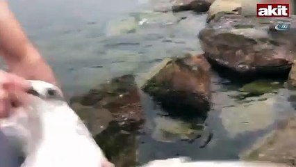 Buz gibi suya dalıp çıkardı! 'Görünce şoka uğradım'