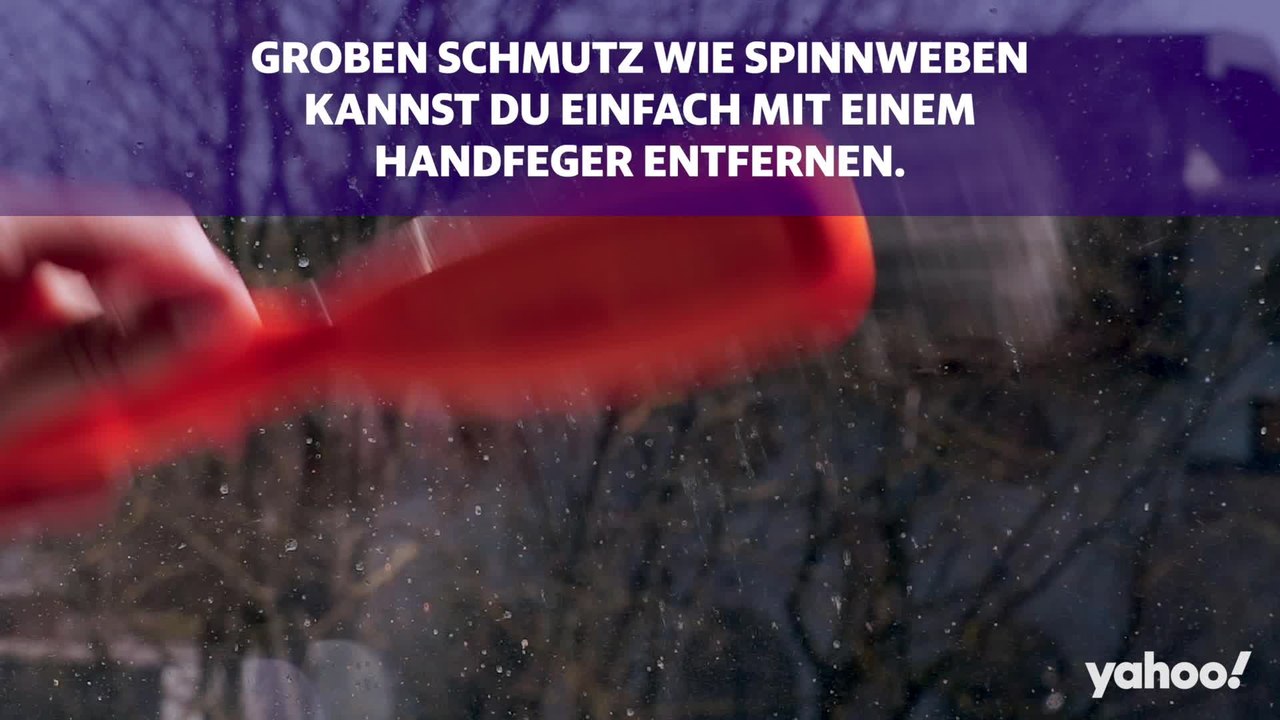Frühjahrsputz Mit diesen nachhaltigen Tipps kriegst du deine Fenster schnell sauber