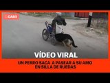 Un perro saca a pasear a su amo en silla de ruedas