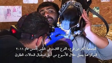 "ملجأ" مجاني لعلاج الدواب وإيواء الحمير الضالة في الضفة الغربية