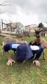 Baby Goats Help Out with Workout Routine