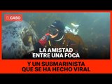 La amistad entre una foca y un submarinista que se ha hecho viral