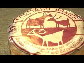 Gastronomia | Formatges | Baridà | 17