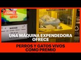 Una máquina expendedora ofrece perros y gatos vivos como premio