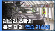 '전기차 신화' 테슬라 추락세...독주체제 역습 가속화 / YTN