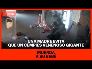 Una madre evita que un ciempiés venenoso gigante muerda a su bebé