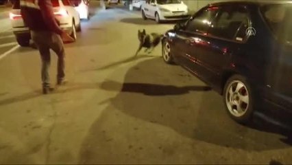 KAHRAMANMARAŞ - Narkotik ve huzurlu sokaklar uygulaması