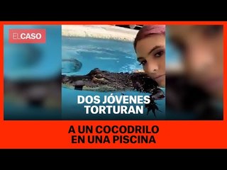 Dos jóvenes torturan a un cocodrilo en una piscina