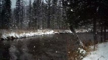 Listen to the sound of the river and blizzard. Nature sounds to read, sleep and relax.