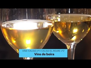 Gastronomia | Vins | Caligo Col.lecció n°1 i Caligo El Roure n°2 | 24