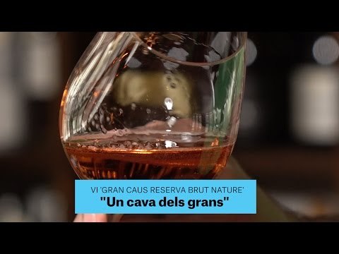 Gastronomia | Vins | Gran Caus Reserva Brut Nature | 29