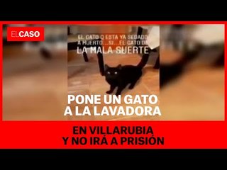 Pone un gato a la lavadora en Villarubia y no irá a prisión