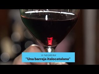 Gastronomia | Vins | Negreira | 31