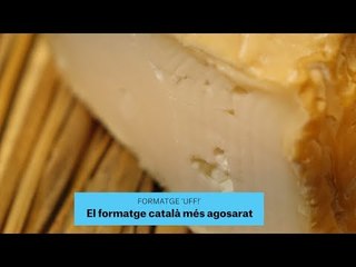 Gastronomia | Formatges | Uff! | 41