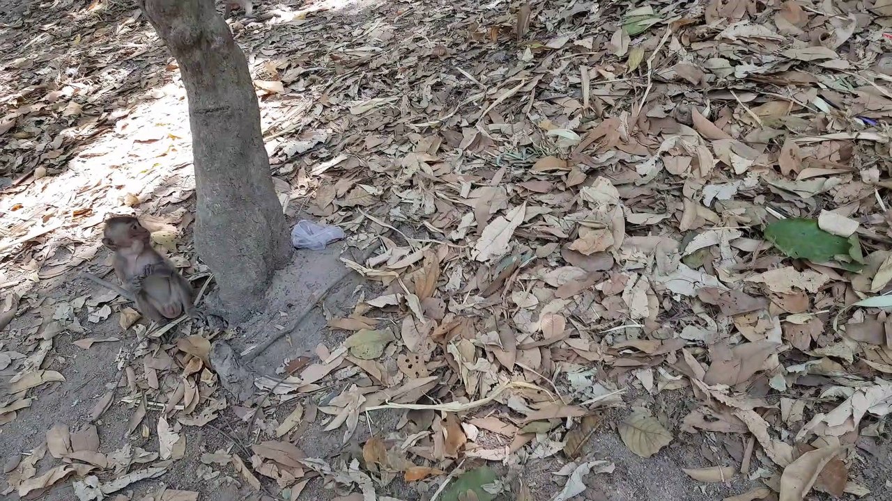 Feed Baby