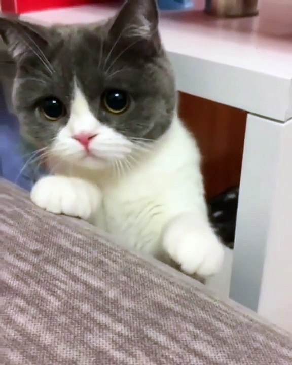 so cute❤