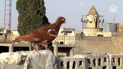 Cerablus semalarında 'özgür' kanat sesleri!