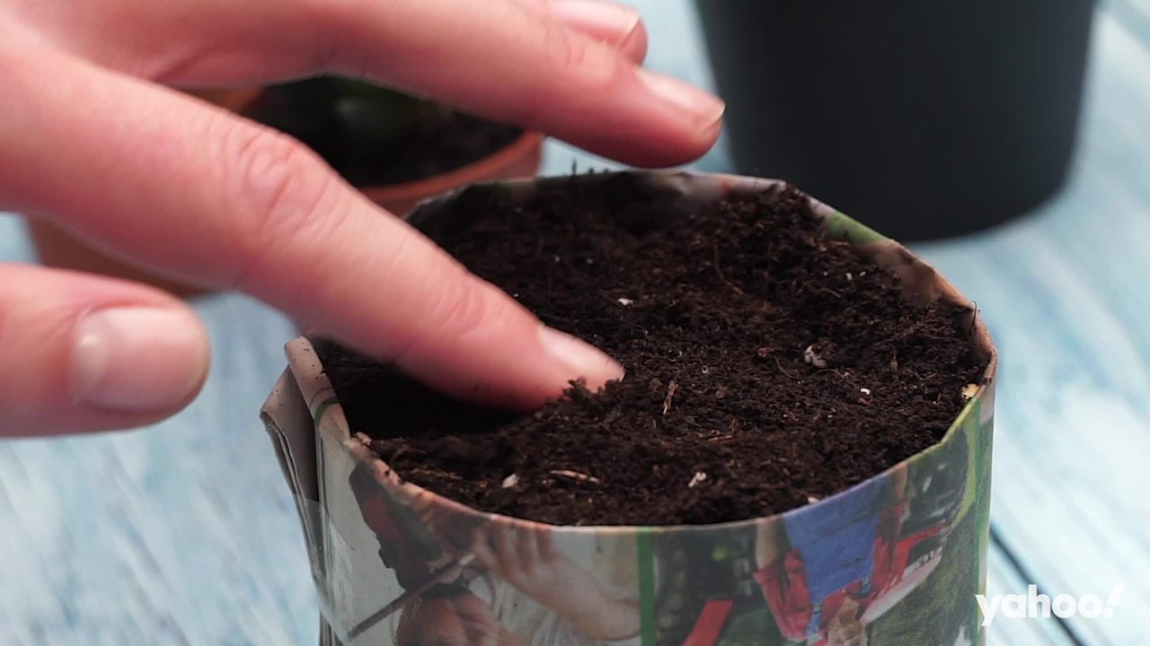 Schönes Altpapier – warum du deine Tageszeitungen nicht entsorgen solltest.