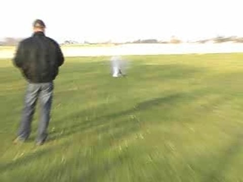 T-REX 600 pro vol 3D de David de Landas