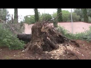 Destrosses a Tarragona per les fortes pluges