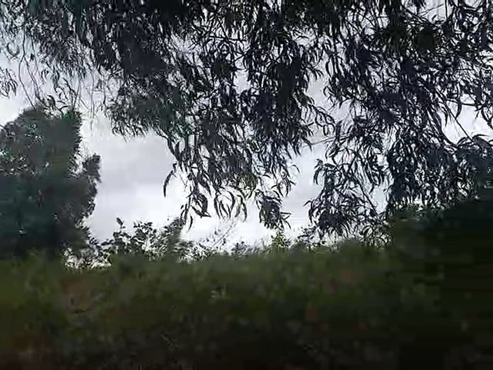 Beauty in Nature