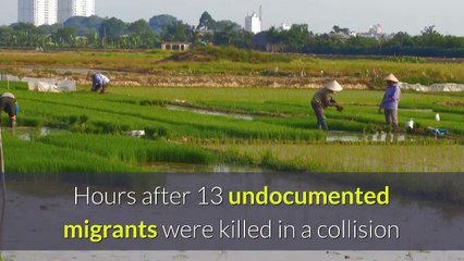 ‘A violent gamble ’ California crash that killed 13 undocumented migrants