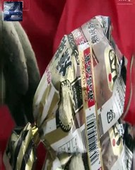 BS1スペシャル「映像記録　東日本大震災　1年の苦闘」20210307