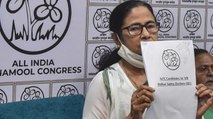 Mamata Banerjee to hold road show before filing nomination