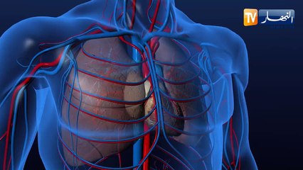 غوغل تطلق ميزة قياس ضربات القلب ومعدل التنفس بالهاتف
