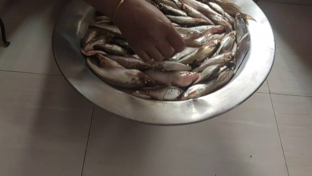 Tengra Macher Jhol টেংরা মাছের ঝোল রেসিপি II Tengra Fish Curry with Tomato II Village Food