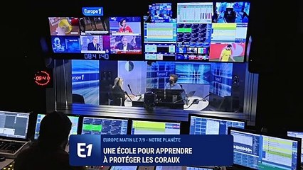 Une école pour apprendre à protéger les coraux