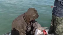 Eğirdir Gölü'nde kaçak avlanan 250 kilo kerevit tekrar göle bırakıldı