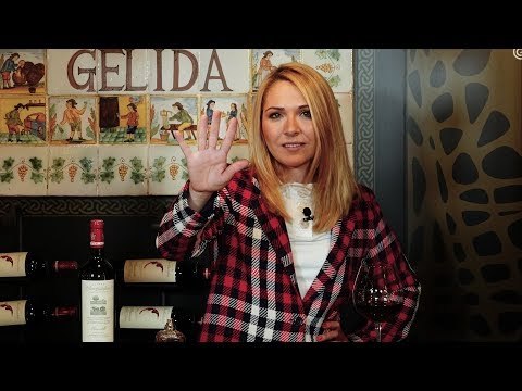 Gastronomía | La Bodega de El Nacional | 5 consejos para hacer una cata profesional de vinos | 22