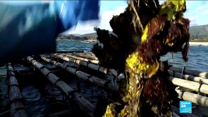 Decade after Fukushima, Japan towns struggle to rebuild community