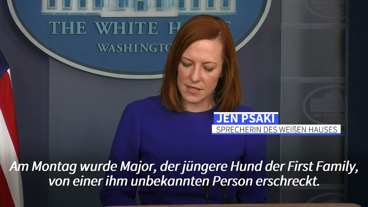 Weißes Haus: Hunde kommen zurück, Katze noch ungewiss