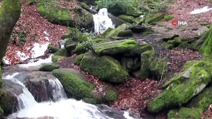 Kar suları eridi, tabiat harikası şelaleler coştu