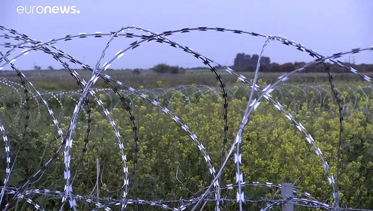 Zypern: klingendrahtzaun an un-pufferzone in der kritik