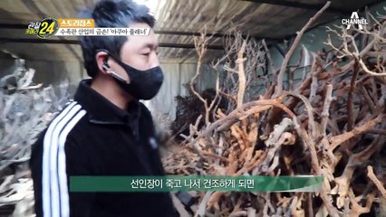 물속에 어떤 생물이 사냐에 따라 사용하는 나무가 다르다?!