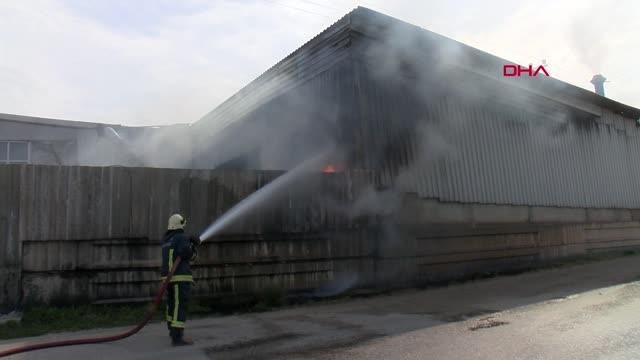 Son dakika haberleri: ANTALYA Geri dönüşüm deposunda yangın