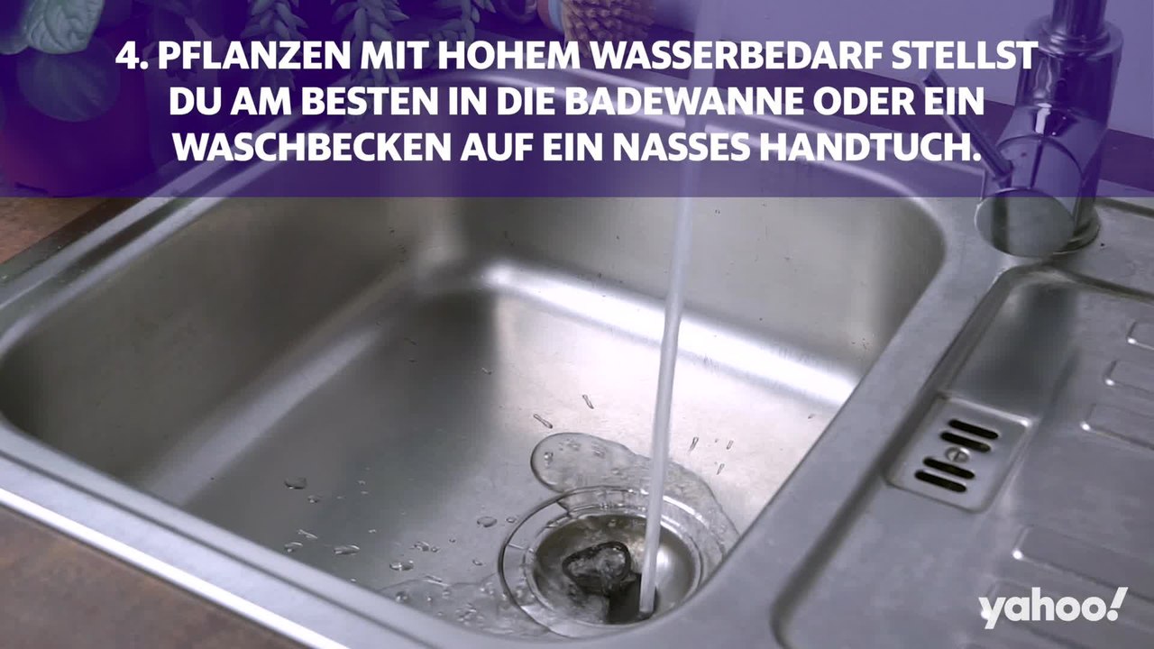 Urlaubszeit: So überleben deine Pflanzen auch ohne dich