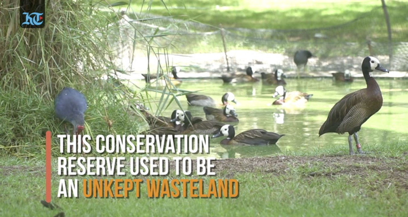 Wasit Wetland Centre - Uae's Natural Sanctuary For Migratory Birds