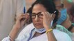 Mamata Banerjee gets injured during election campaign
