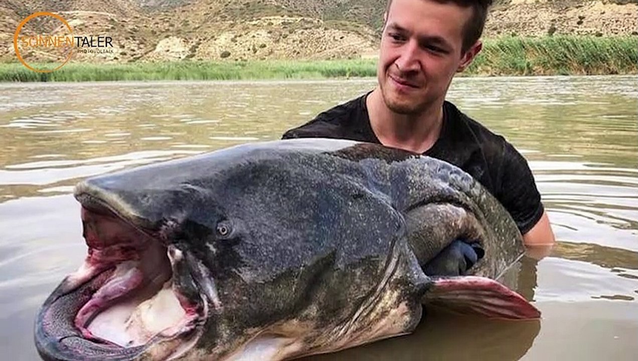 Maxis Mittwochsrunde mit Kevin Nowatzki Teil I