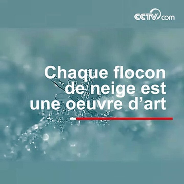 Chaque flocon de neige est une oeuvre d’art