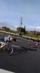 Son dakika haberi! Otoyolda ölüme meydan okudular