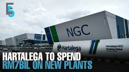EVENING 5: Hartalega to spend RM7bil on new plants