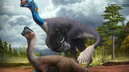 Scientists Discover Rare Dinosaur Fossil Sitting on a Dozen Eggs