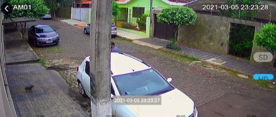 Tiny Dog Carried Away as It Takes on Large Neighbor