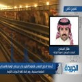 ظهور «انفلونزا الطيور» في الكويت